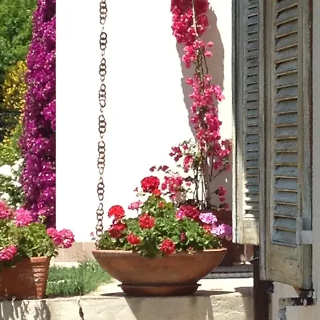 Guest house Conero Mare Verde *
