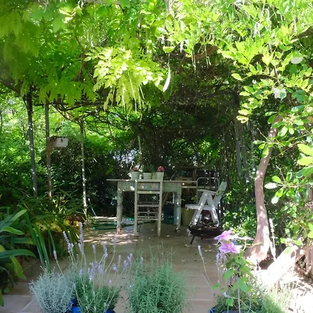 Pensjonat Conero Mare 4*