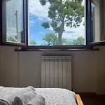 Conero Mare Verde