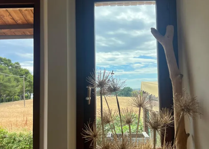 Conero Mare Pensión 3*